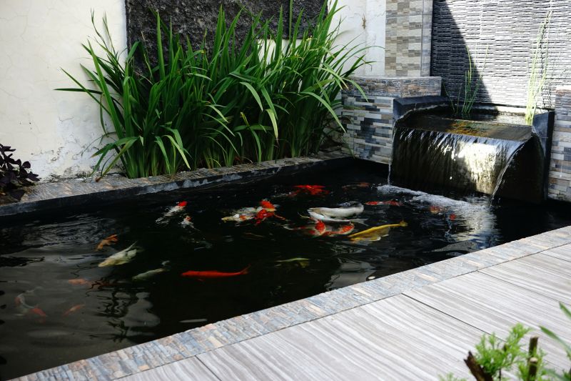 Koi Pond Construction in Honolulu, HI