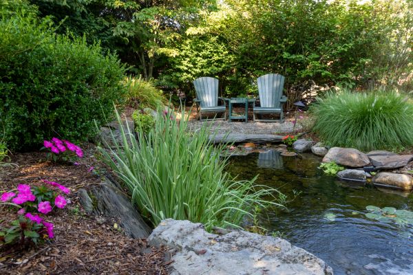 Koi Pond Landscaping - Koi Pond Landscaping Phoenix, Arizona