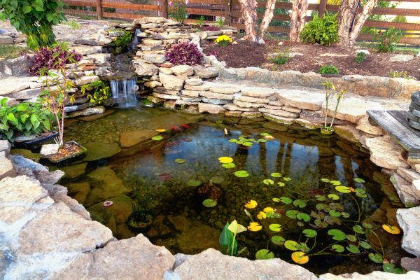 Koi Pond Building - Koi Pond Building Phoenix, Arizona