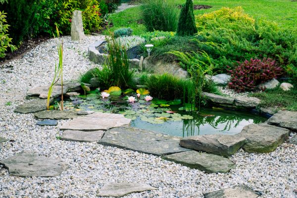 Water Garden Construction