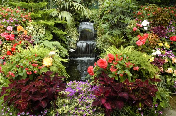 Landscape Waterfall Service - Landscape Waterfall Service Houston, Texas